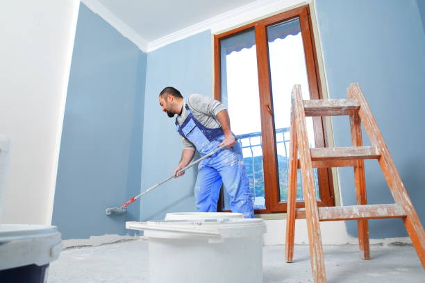 Best Mold Damage Restoration  in Boulevard Park, WA