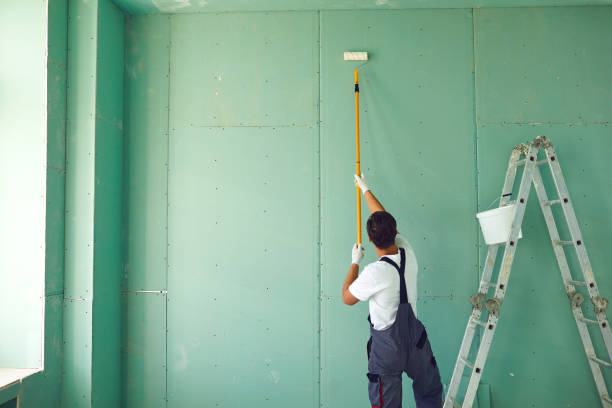 Dehumidification Services in Boulevard Park, WA