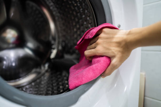 Mold Odor Removal Services in Boulevard Park, WA