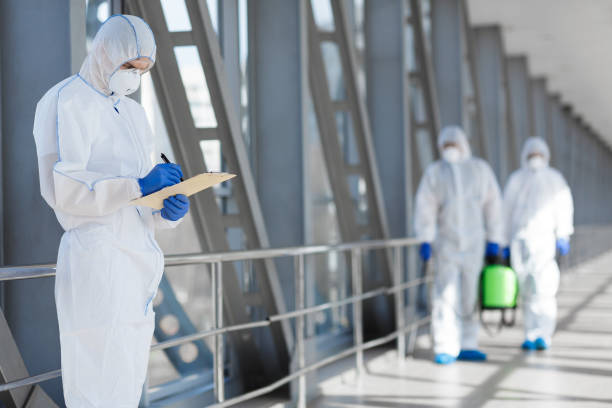 Best Basement Mold Removal  in Boulevard Park, WA
