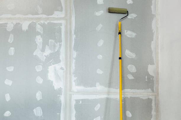 Best Forensic Mold Investigation  in Boulevard Park, WA