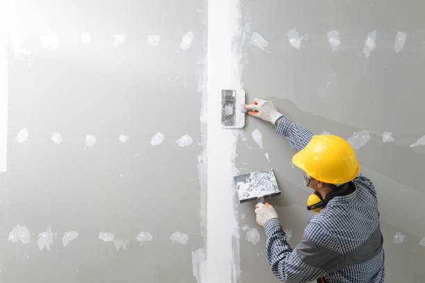 Best Black Mold Removal  in Boulevard Park, WA