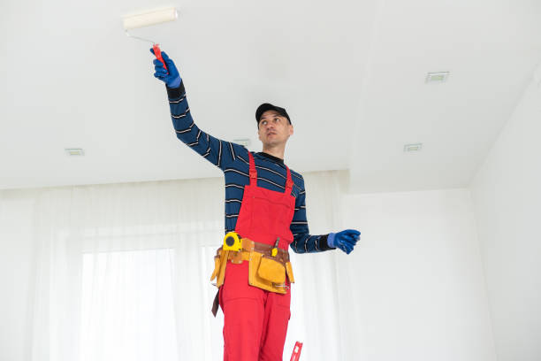 Best Water Damage & Mold Remediation  in Boulevard Park, WA