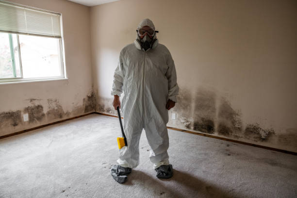 Best Residential Mold Inspection & Testing  in Boulevard Park, WA