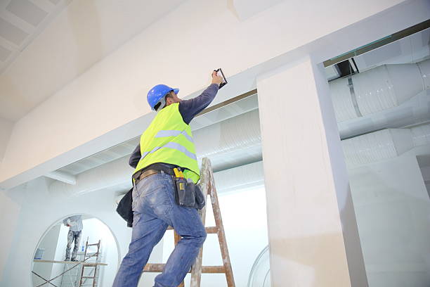  Boulevard Park, WA Mold Removal Pros